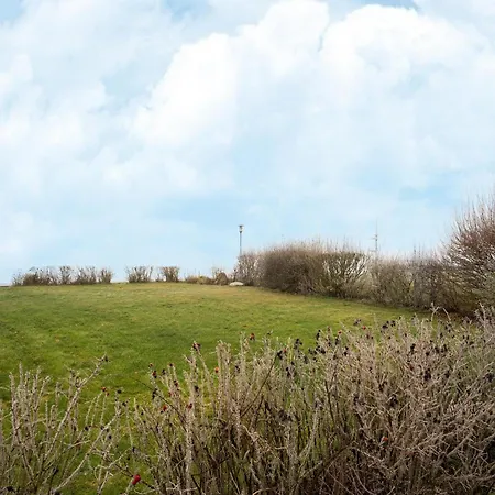 Exklusives Skandinavisches